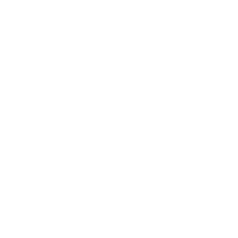 SOPHROLOGUE REIKI ACCOMPAGNEMENT